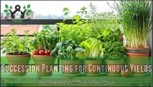 succession planting for continuous yields