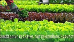 successive planting for continuous harvest