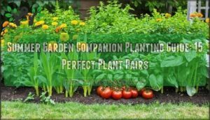 summer garden companion planting guide