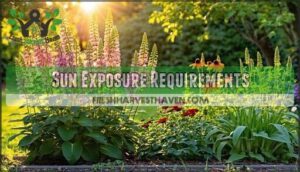 sun exposure requirements