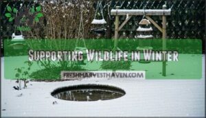 supporting wildlife in winter