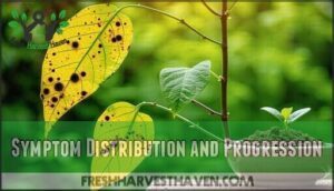 symptom distribution and progression
