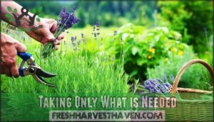 taking only what is needed