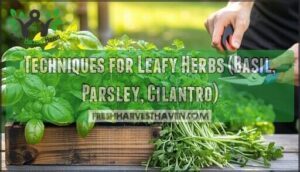 techniques for leafy herbs (basil, parsley, cilantro)