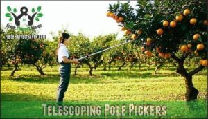 telescoping pole pickers
