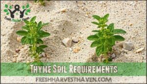 thyme soil requirements