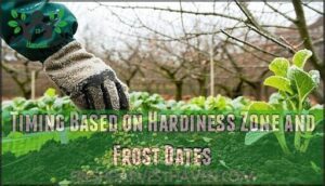 timing based on hardiness zone and frost dates