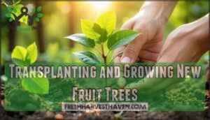 transplanting and growing new fruit trees