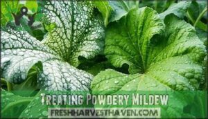treating powdery mildew