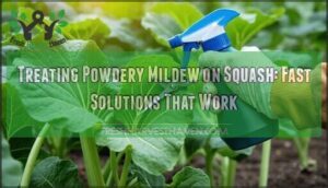 treating powdery mildew on squash