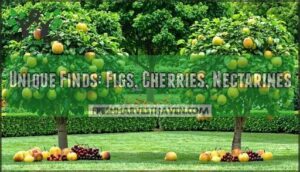 unique finds: figs, cherries, nectarines