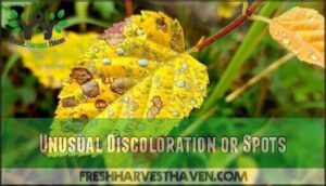 unusual discoloration or spots