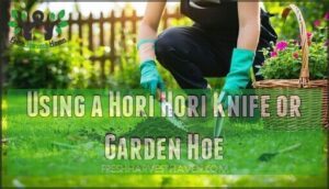 using a hori hori knife or garden hoe