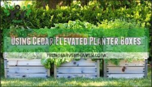 using cedar elevated planter boxes