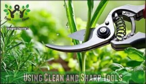 using clean and sharp tools