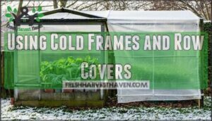 using cold frames and row covers