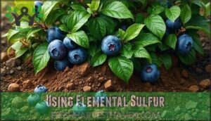 using elemental sulfur