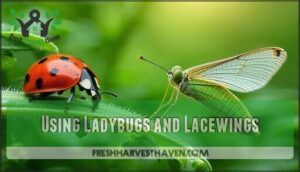 using ladybugs and lacewings