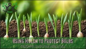 using mulch to protect bulbs