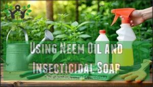 using neem oil and insecticidal soap