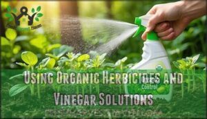 using organic herbicides and vinegar solutions