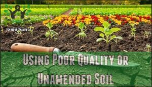 using poor quality or unamended soil