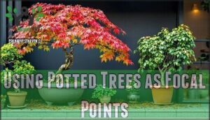 using potted trees as focal points