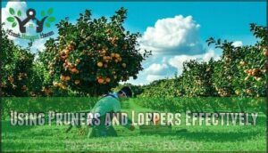 using pruners and loppers effectively