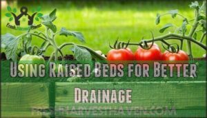 using raised beds for better drainage