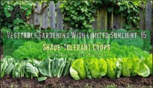 vegetable gardening with limited sunlight