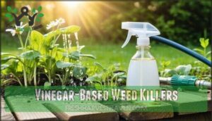 vinegar-based weed killers