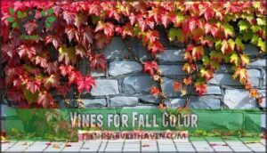 vines for fall color