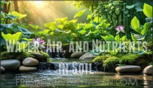 water, air, and nutrients in soil