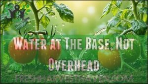 water at the base, not overhead