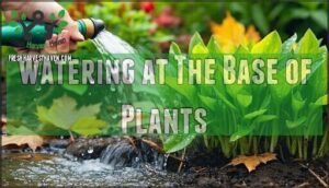 watering at the base of plants