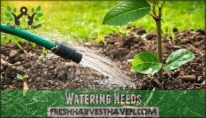 watering needs