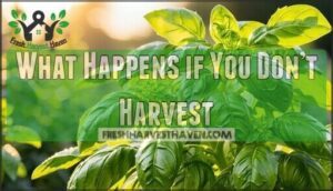 what happens if you don’t harvest