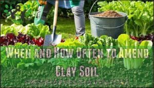 when and how often to amend clay soil