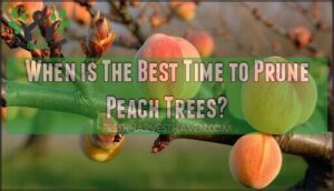 when is the best time to prune peach trees