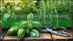 when to harvest herbs for best flavor