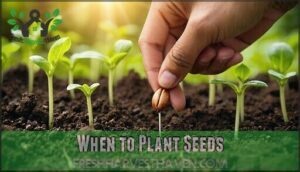 when to plant seeds