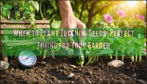 when to plant zucchini seeds
