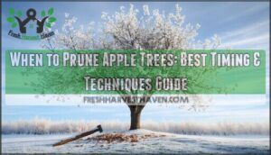 when to prune apple trees