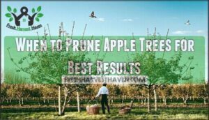 when to prune apple trees for best results