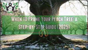 when to prune my peach tree