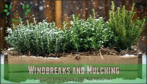 windbreaks and mulching
