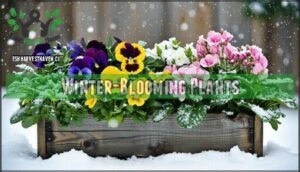 winter-blooming plants