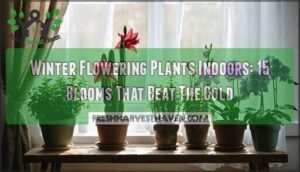 winter flowering plants indoors