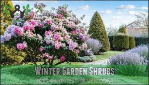 winter garden shrubs