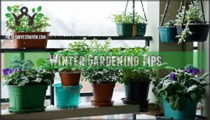 winter gardening tips